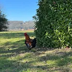 Grand Avec Tennis Et Piscine * Lalinde