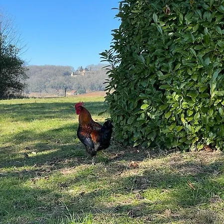 Grand Avec Tennis Et Piscine * Lalinde