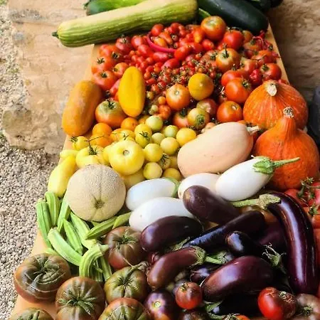 Grand Avec Tennis Et Piscine * Lalinde