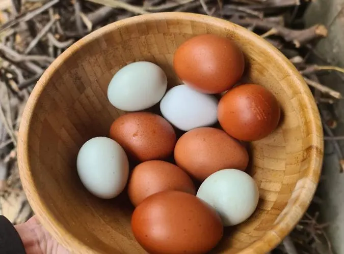 Grand Avec Tennis Et Piscine *