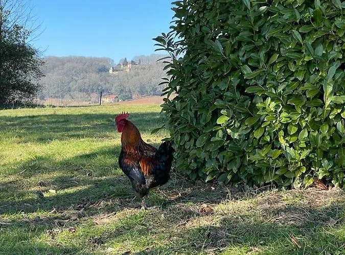 Grand Avec Tennis Et Piscine * Lalinde